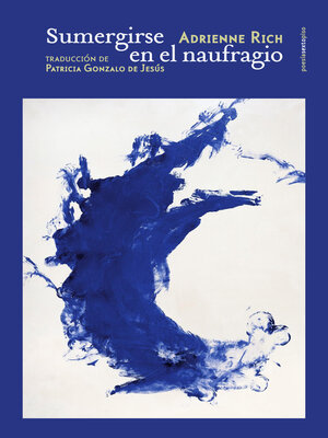 cover image of Sumergirse en el naufragio